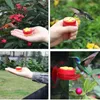 Altre forniture per uccelli Forma di fiori Maniglia Mangiatoia per colibrì Bevitore di semi di plastica e ventosa per finestra esterna