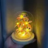 Hantverk Lily Nightlight Handmade Diy Eternal Flower Home Decor Bedside Lamp Birthday Present Valentine's Day Christmas Wedding