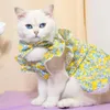 Cat Costumes Sleeves Puppy Dress Flower Print Pet Princess Style Set With Skirt Matching For Dogs