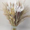 Decoratieve bloemen natuurlijke gedroogde pluizige pampasgrasboeket Boho Home Decor Phragmites Reed kunstmatig voor bruiloft Ramadan decoratie