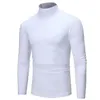 Primavera outono masculino gola alta manga comprida cor sólida rollneck camisola quente masculino jumper fino ajuste de fundo simples camiseta 240309