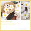 الزهور الزخرفية 20 pcs الاصطناعية frangipani الشعر دبوس الإكسسوارات للفتيات غير القطيع من الانزلاق ملحقات النساء مقاطع بلومريا زهرة الحديد