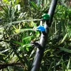 Sprinklers Flag Dripper 4L 8L 16L Green Drip Head Irrigation Emitter Water Saving Garden Nursery Veg Watering agriculture tools 200 Pcs