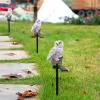 Sculptures Solar Powered LED Lights Garden Owl Animal Pixie Lawn Lamps Ornament Waterproof Lamp Unique Solar Lights Outdoor Solar Lamps