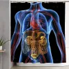 Gordijnen Lichaam 3D Anatomie Atlas Menselijke Interne Hele Organen En Botten Perspectief Douchegordijn Door Ho Me Lili Voor Badkamer Decor