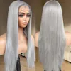 Brownbomb Grey Lace Front Pre Plucked Small Knots Ready to Wear, Gray Synthetic Hair Wigs for Women 26inch Long Straight Sier Wig