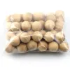 Calligraphie 50pcs boule ronde en bois de 25 mm boules rondes en bois non fini, bouleau en bois dur, boules de petite taille artisanale, pour l'artisanat et la décoration de bâtiment