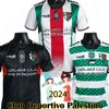 2024 2025 Club Deportivo Palestino Soccer Jerseys Special Seyam Wadi Saleh Salas Davila Farias Home Away 3rd Carrasco Cornejo Football Shirts Men Uniforms