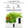 Töpfe Smart Garden Hydroponik-Anbausystem Indoor-Kräutergarten-Kit Automatisches Timing LED-Wachstumslichter Wasserpumpe für Blumentöpfe zu Hause