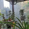 Filets 0,18 mm PE bâche imperméable transparente, film plastique imperméable pour jardins, balcons, serres, plantes succulentes, maintien de la guerre