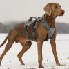 Sele ingen drag liten medium stor stor hund sele väst nylon justerbar reflekterande vattentät husdjur promenader träning med handtag
