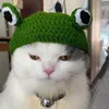 Dog Apparel Solid Color Pet Hat Hand-knitted 3d Frog Eye Decor Cute Headgear For Autumn Winter Small Cartoon Cat Supplies