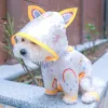 Manteaux de pluie imprimés colorés pour chien, imperméable, transparent, arc-en-ciel, pour animaux de compagnie, Teddy Bichon, petites et moyennes tailles