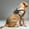 Harnesses Genuine Leather Dog Harness Brown Soft Walking Training Harnesses Adjustable Chest Medium Large Dogs Pitbull Alaskan Harness