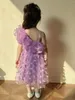 Girl Dresses Summer 2024 Ins Kid Girls Birthday Dress Mesh Puffy Solid Children Evening Toddler Butterfly Patched Baby