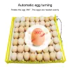 Tillbehör Multifunktion 56 Plastinkubator Egg Tray Automatisk Turn Egg för kycklingandägg Inkubationsutrustning