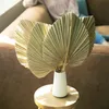 3 5PCS Dried Palm Leaves Room Decor Large Natural Palm Leaf Decor for Boho Palm Fans Tropical Palm Flowers for Wedding Decor 240321