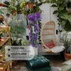 Decoratieve bloemen Kunstmatige Violette Bloem Blauweregen Wijnstokken Hangende Garland Hortensia String Voor Bruiloft Feest Decor Fuchsia