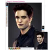 Stitch the Twilight Saga Movie Diamond Målning Klassiska filmskådespelare Robert Pattinson Cross Stitch Embroidery Picture Mosaic Home Decor