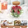 Vases Micro Landscape DIY Bottle Planter Moss Container Mini Empty Crafts Desktop Micro-landscape Pots