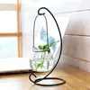 Vases suspendus bouteille transparente fleur avec étagère en fer Art conteneur hydroponique salon décoration de table de mariage