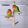 Toys Bird Wood Perch Toy Natural Wood Stand Parakeet Toys Bird Cage Abborrar Tillbehör för Quaker Senegal Parrot Mini Macaws