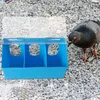 Autres fournitures pour oiseaux Cage d'alimentation pour pigeons Boîte suspendue pour perroquet