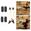 Carriers Fighting Durable Farm Equipment Useful Poultry Wrestling Chicken Supplies fighting