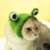 Dog Apparel Solid Color Pet Hat Hand-knitted 3d Frog Eye Decor Cute Headgear For Autumn Winter Small Cartoon Cat Supplies