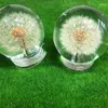 Decoratieve beeldjes Paardebloem Glas Hars Bal Orb Mooie bloemen Helder presse-papier Magische Botanische Bloem Bol Globe Veel geluk