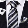 Neck Ties Neck Ties Designer Tie for Mens Blue Silver Striped Flower Red Purple Gold Green Necktie Hanky Cufflinks Set Wedding Gift BarryWang 6317 Y240325