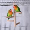 Toys Bird Wood Perch Toy Natural Wood Stand Parakeet Toys Bird Cage Abborrar Tillbehör för Quaker Senegal Parrot Mini Macaws