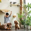 スクラッチャー猫の木の壁の木製の登山棚ジャンププラットフォームとステップの段階的なポストは、子猫のためのペットの屋内家具