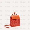 Luxuriöse Handtasche Alpin Mini-Outdoor-Schultasche für Damen, Designer-Büchertasche, Umhängetasche, Schulter-Rucksack aus Leder, klassische Klappe, Herren-Clutch-Rucksack, Tragetasche, Aufbewahrungstaschen