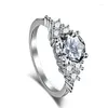 Cluster Rings europeiska och amerikansk stil S925 Sterling Silver Zircon Luxury Inlay Simulation Full Carbon Diamond Ring Wedding