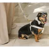 Arneses Estilo único Patas Arnés de Perro de Terciopelo Verde Personalizado Correa básica para Perro Collar de Terciopelo para Perro con Lazo para Perro o Gato