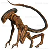 Figurines de jouets d'action NECA Alien bleu Alien Xenomorph Figma prédateur jouet Ripley figurine d'action NECA modèle jouet cadeau 18 CM T240325