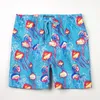 Summer Mens Mixed Color Shorts Luxury Starfish Turtles Printed Swimwear Beach Surfing Boardshorts High Quality Bermudas 240314