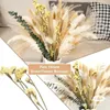 Decoratieve bloemen natuurlijke gedroogde pluizige pampasgrasboeket Boho Home Decor Phragmites Reed kunstmatig voor bruiloft Ramadan decoratie