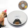 Feeding Pet Dog 6 Grids Automatic Feeding Bowl With Voice Remind 24h Smart Timer Food Dispenser Pet Accessories