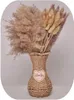 Decoratieve bloemen Natuurlijk gedroogd Pampasgras Buttny Tail Kerstmis Herfst Thanksgiving Oogstfestival Halloween Decor Bruiloft Arrangementen