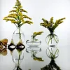 Vases Light Luxury Gold Transparent Stained Glass Small Vase Floral Arrangement Hydroponic Flower Ornaments Wedding Tabletop Decor