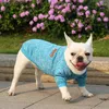 Roupas de vestuário para cães para cães pequenos chihuahua XS-2XL suéter roupas quentes jaqueta casaco gato filhote de cachorro inverno