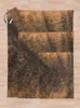 البطانيات Brindle Animal Print Brown Throw Charle Thinket Thin Thin Flannel Fabricseds