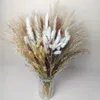 Decoratieve bloemen natuurlijke gedroogde pluizige pampasgrasboeket Boho Home Decor Phragmites Reed kunstmatig voor bruiloft Ramadan decoratie