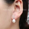 Schroevendraaiers Classic Design SterlingSier Zircon White Ellipse Freshwater Pearls StudEarrings for Women Pearl Jewelry Gifts Feige