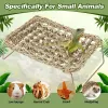 Burar Lizard Lounger Reptil Hammock Bed, Grass Fibrers, Bearded Dragon Bed, Gecko Climbing Snake Reptile, Amfibian Hermit Crab House