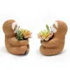 Fioriere in resina bradipo vaso da fiori design simpatico animale vaso da fiori succulento giardino domestico decorazione da tavolo accessorio per interni ed esterni