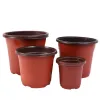 Planters 20/50/100 Twocolor Size Extra små plantor Krukor förtjockade enkla plastplantningskrukor för hemträdgårdstransplantatkrukor