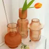 Vaser glas vas blomma arrangemang hydroponics boll glas konst blomma ware hem vardagsrum dekor bordsskiva vasflaska